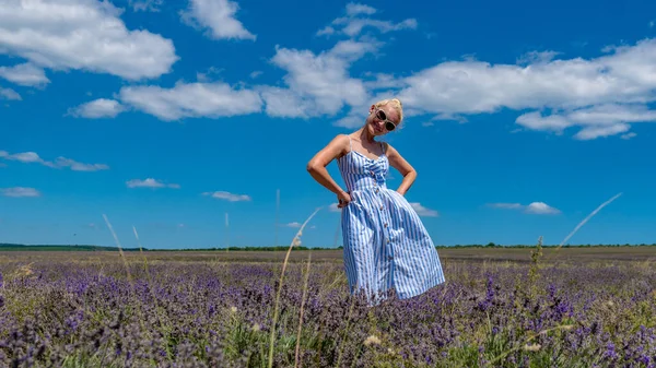 Glückliche Frau auf Lavendelfeld Brille Chamäleons sieht lächelnd mit einem charmanten Lächeln steht — Stockfoto