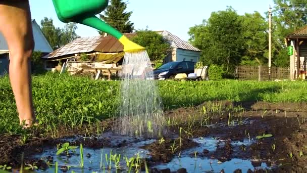 Água água é regada pelo conceito de bem-estar contra o fundo de grama verde e céu azul no campo. Grama verde — Vídeo de Stock