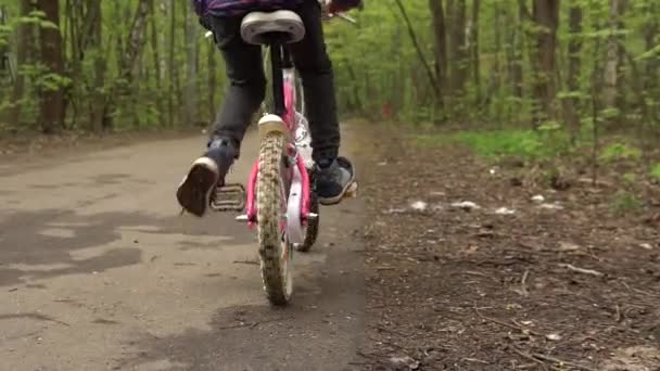 A girl rides a bicycle in a forest park. Hes moving away from us. — Stock Video