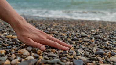 Denizde halka halka, elde deniz halkası, taştan plajlar, güzel bir dişinin eli, dekorasyon şeklinde bir kabuk.