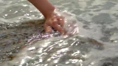 Elini üzerine fırçala. Denizden dalgalanan bir kabuk halkası. Kumsaldaki çakıl taşının etrafında.