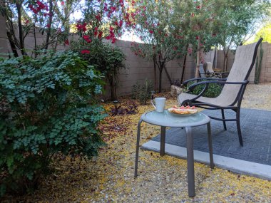 Açık odaya Arizona çöl tarzı xeriscaped arka bahçesinde net taze hava ile erken bahar sabahı