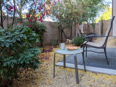 Açık odaya Arizona çöl tarzı xeriscaped arka bahçesinde net taze hava ile erken bahar sabahı