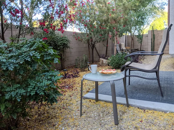 Açık odaya Arizona çöl tarzı xeriscaped arka bahçesinde net taze hava ile erken bahar sabahı