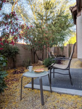 Açık odaya Arizona çöl tarzı xeriscaped arka bahçesinde net taze hava ile erken bahar sabahı