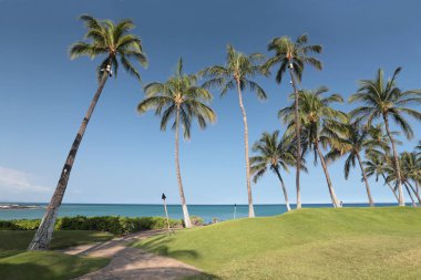 Kona Coast Island Palms Beach, Merhaba şnorkel yeşil ile