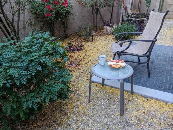 Colazione All Aperto Stile Deserto Arizona Xeriscaped Cortile Con Aria — Foto Stock