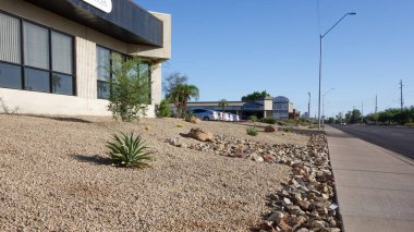 Phoenix, Az, Amerika Birleşik Devletleri - 3 Haziran 2018: Xeriscaping yerli çöl kuraklık hoşgörülü succulents ve kaktüsler, Arizona sermaye Phoenix şehri sokaklarında iş Parkı çevresinde