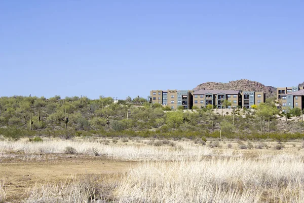 Apartamentos Montañas Del Desierto Phoenix Arizona — Foto de Stock