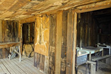 Terk edilmiş ahşap kulübe iç Boyce Thompson Botanik Bahçesi Devlet Parkı içinde; Az