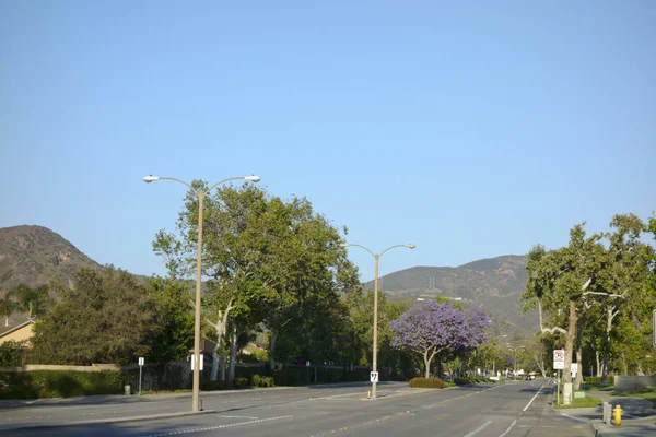 Adolfo Straße Mit Lila Blauen Jacaranda Camarillo Ventura County — Stockfoto