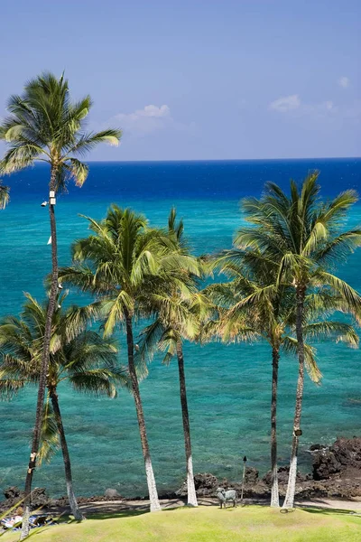 Hawajska Plaża Snorkeling Wyspie Kona — Zdjęcie stockowe