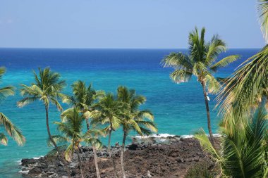 Şnorkel masmavi Hawaiian Kona Adası kumsalda