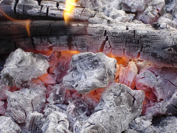 Hot Flames White Ashes Black Burned Wooden Logs — Stock Photo, Image