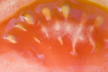 Arka plan kesilmiş domates; aşırı kapat; makro