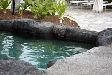 Bir parkta mini havuz