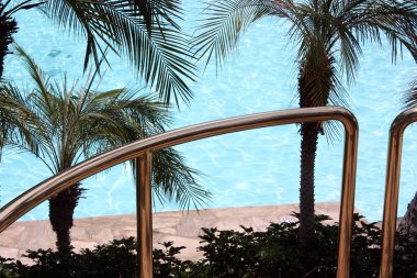 Palmiye ağaçlarının seacoas raylı Yüzme Havuzu