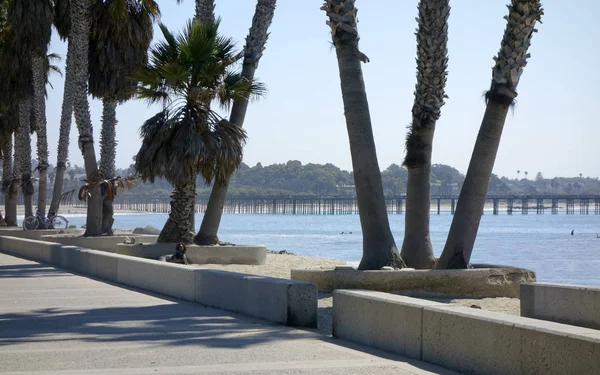 Sétány Nyilvános City Beach San Buena Ventura Fából Készült Móló — Stock Fotó