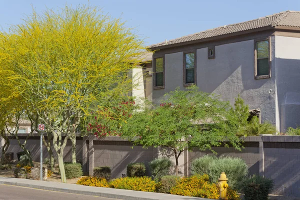 Wiosna Mieszkalny Ogrodzony Kompleks Mieszkalny Jak Widać Ulic Phoenix Arizona — Zdjęcie stockowe