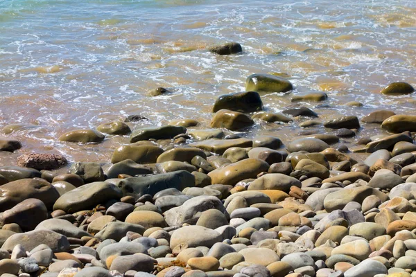 清潔でカラフルな濡れた小石と水と土地の端に岩 — ストック写真
