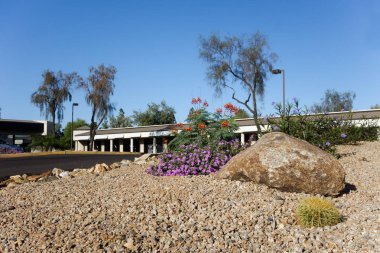 Desert style landscaping with native drought tolerant plants and cacti around business park in capital Arizona city of Phoeni clipart