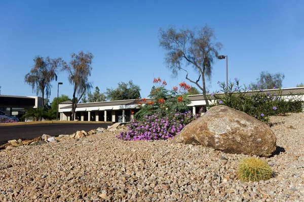 Stil yerli kuraklık dayanıklı bitkiler ve kaktüsler sermaye Arizona şehir Phoeni Park'ta iş çevresinde peyzaj çöl