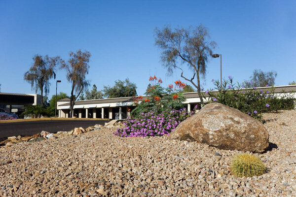 Desert style landscaping with native drought tolerant plants and cacti around business park in capital Arizona city of Phoeni