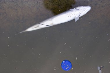 Her gün ilk masum kurbanı su zehirlenmesi