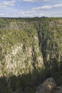 Sedona, Arizona derin dağ kanyonlarda bahar