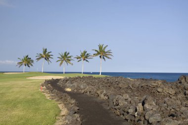 Yeşil Hawaiian Golf Sahası lav okyanus kıyısında Kona Adası