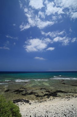 Volkanik lav sahil Adası Kona, Hawaii plajda