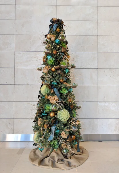 Barrel Cacti Used Ornaments Hanging Christmas Tree — Stock Photo, Image