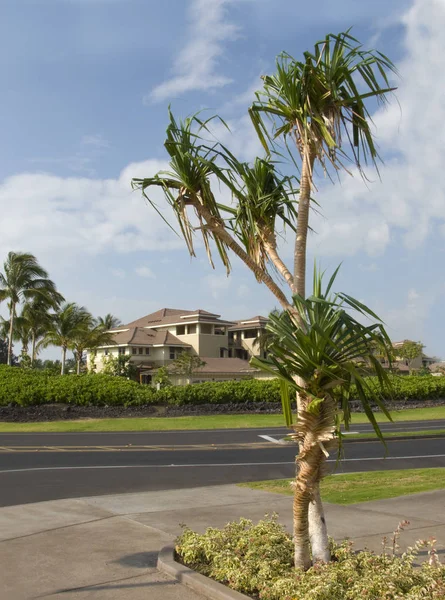 Trópusi Szabadidős Közösségi Ház Sziget Kona Hawaii — Stock Fotó