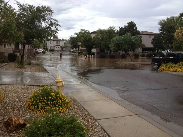 Stående Regnvatten Monsunregnen Bostäder Gemenskapen Phoenix Arizona — Stockfoto