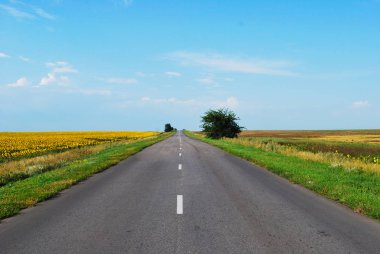 Yol açık mavi gökyüzü karşı çiçek açan bir alan üzerinden mesafe içine gidiyor