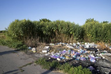 Poltava Ukrayna 'da çöp ve plastik atığı 4 Eylül 2025' te yasadışı atık ve çevresel hasar sorunu