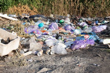 Poltava Ukrayna 'da çöp ve plastik atığı 4 Eylül 2025' te yasadışı atık ve çevresel hasar sorunu