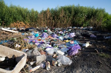 Poltava Ukrayna 'da çöp ve plastik atığı 4 Eylül 2025' te yasadışı atık ve çevresel hasar sorunu
