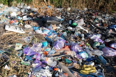 Poltava Ukrayna 'da çöp ve plastik atığı 4 Eylül 2025' te yasadışı atık ve çevresel hasar sorunu