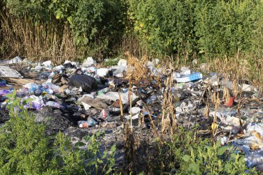 Poltava Ukrayna 'da çöp ve plastik atığı 4 Eylül 2025' te yasadışı atık ve çevresel hasar sorunu