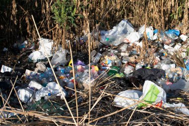 Poltava Ukrayna 'da çöp ve plastik atığı 4 Eylül 2025' te yasadışı atık ve çevresel hasar sorunu