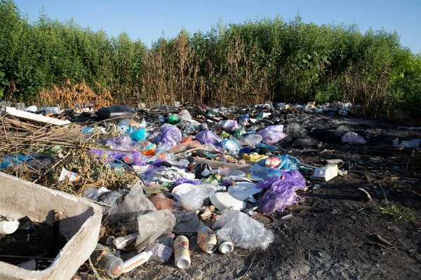 Poltava Ukrayna 'da çöp ve plastik atığı 4 Eylül 2025' te yasadışı atık ve çevresel hasar sorunu