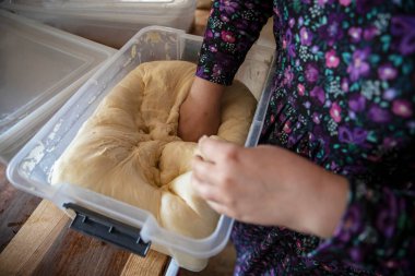 Kadın eli esneyen ve pişirmeye hazırlayan plastik bir kabın içinde gübre. Ev yapımı ekmek, hamur işi ve pişirme süreci kavramı.