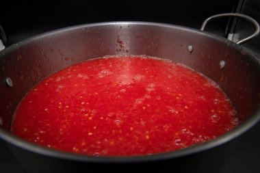 Meyve suyu konseptinden çıkan köpüklü domates suyu taze organik içecek ve doğal ev yapımı sos hazırlama.