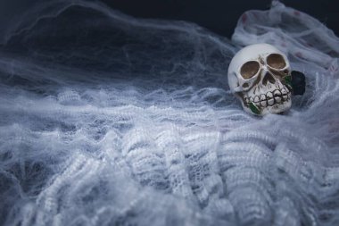 İnsan kafatası, örümcek ağı ve kuru dalları olan kara cadılar bayramı geçmişi. Ürkütücü atmosfer, korku konsepti ve tatil dekorasyonu.