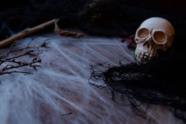 İnsan kafatası, örümcek ağı ve kuru dalları olan kara cadılar bayramı geçmişi. Ürkütücü atmosfer, korku konsepti ve tatil dekorasyonu.