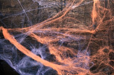 Kara cadılar bayramı arkaplanı yapay örümcek ağı ve kırsal ahşap yüzeyde siyah ağ. Şenlik tasarımı, korku teması ve ürkütücü dekorasyon için ürkütücü bir doku..