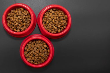 Siyah arka planda kuru hayvan mamaları olan kırmızı plastik kaseler, kedi ve köpekleri çıtır çıtır mamayla besleme kavramı.