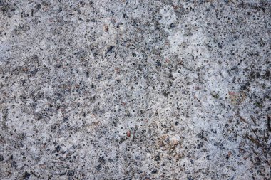 Sert beton yüzeyini doğal detaylar ve küçük eklemelerle kapatın. Arkaplan, tasarım, inşaat, 3D modelleme, mimari ve doku projeleri için mükemmel.