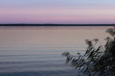 Gün batımında sakin bir nehrin manzarası ön planda sazlıklar ve su yüzeyinde yansıyan pastel renkler. Doğa, manzara, rahatlama ve sükunet kavramı.